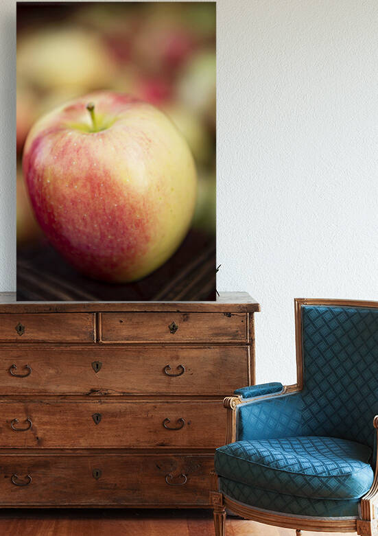 Ambrosia Apple 2 Reproduction