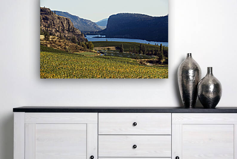 Organic Vineyard Okanagan Valley by Kevin Miller Photography