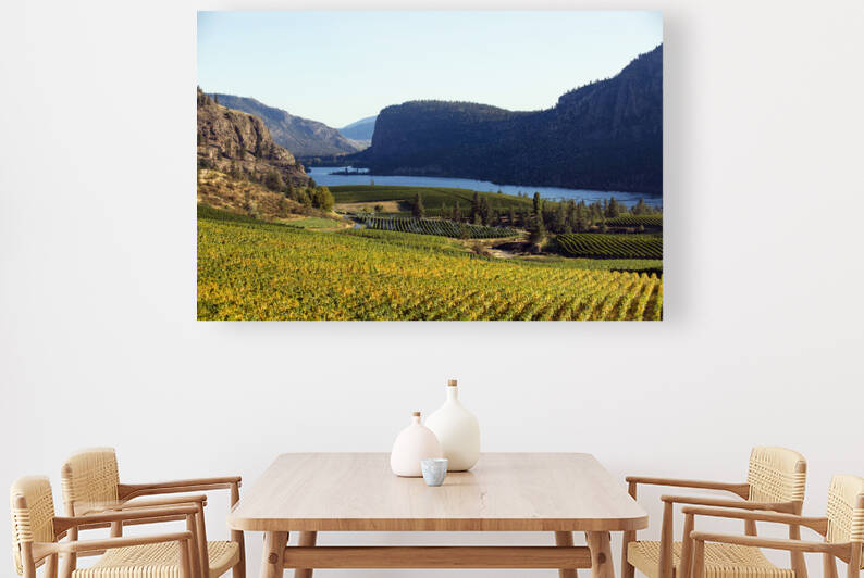 Organic Vineyard Okanagan Valley by Kevin Miller Photography