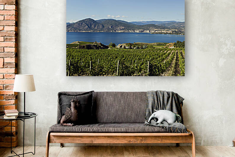Naramata Vineyard Okanagan Valley by Kevin Miller Photography