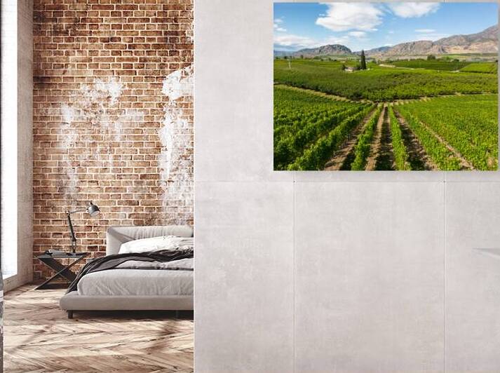 Okanagan Valley British Columbia Winery Vineyard Landscape by Kevin Miller Photography