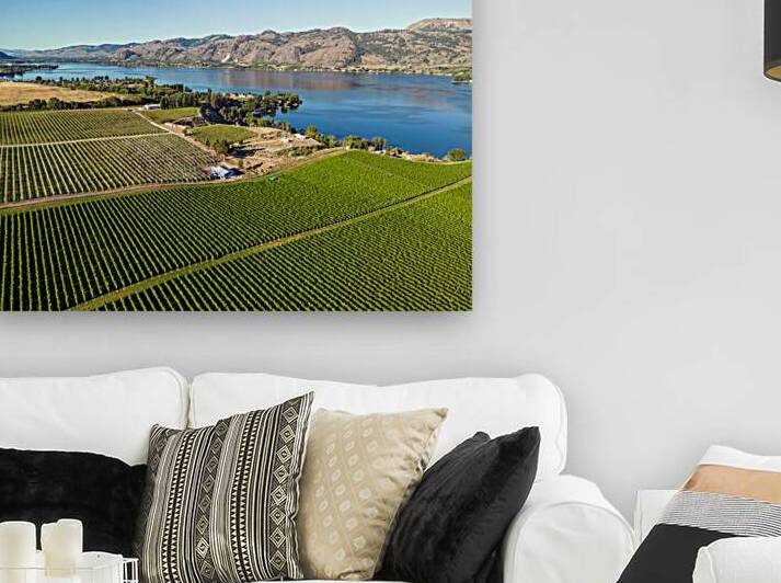 Okanagan Valley British Columbia Winery Vineyard Landscape by Kevin Miller Photography