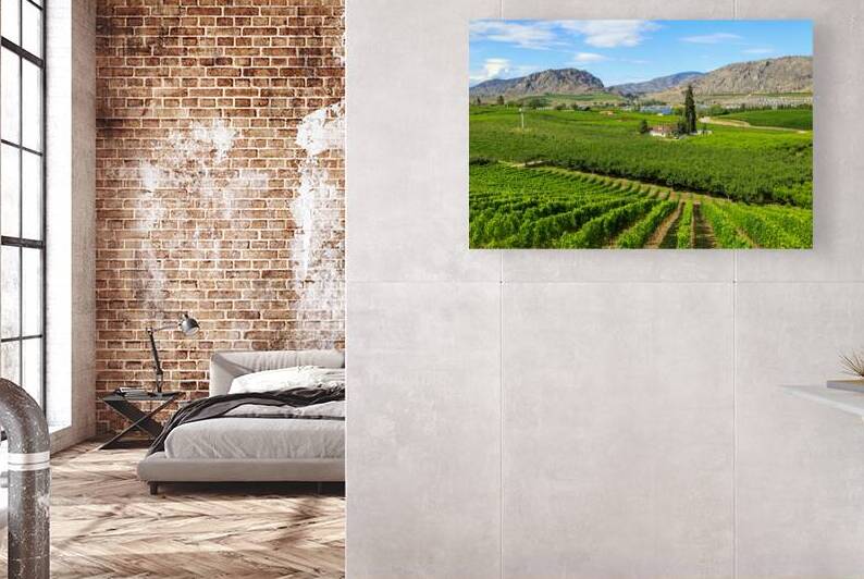 Okanagan Valley British Columbia Winery Vineyard Landscape by Kevin Miller Photography