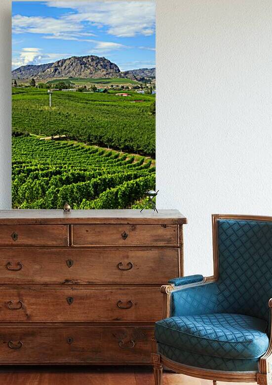 Okanagan Valley British Columbia Winery Vineyard Landscape by Kevin Miller Photography