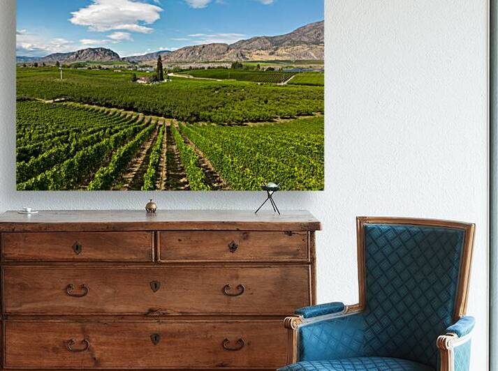 Okanagan Valley British Columbia Winery Vineyard Landscape by Kevin Miller Photography