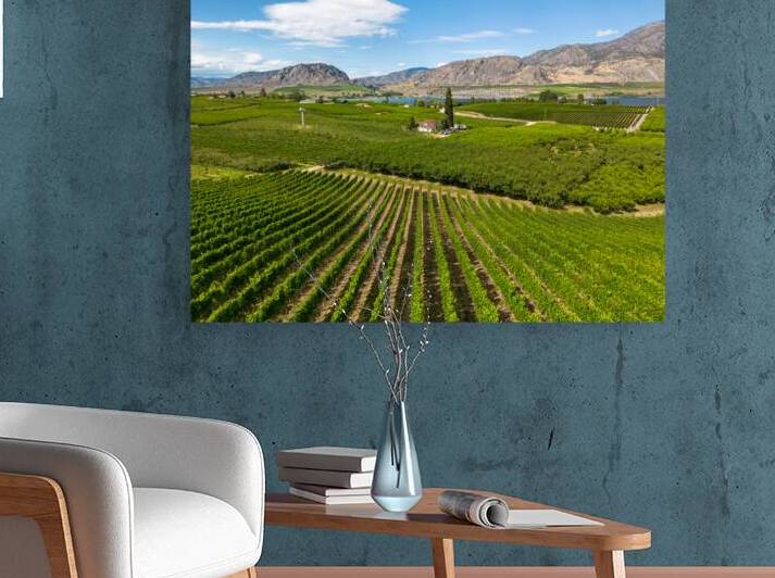 Okanagan Valley British Columbia Winery Vineyard Landscape by Kevin Miller Photography