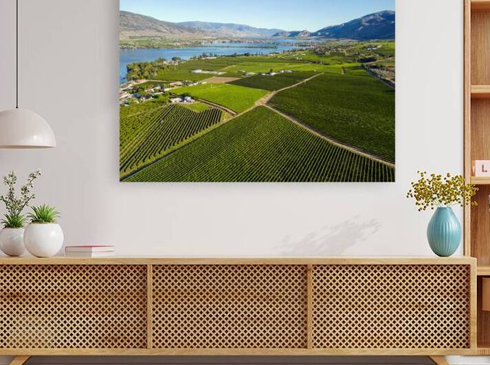 Okanagan Valley British Columbia Winery Vineyard Landscape by Kevin Miller Photography