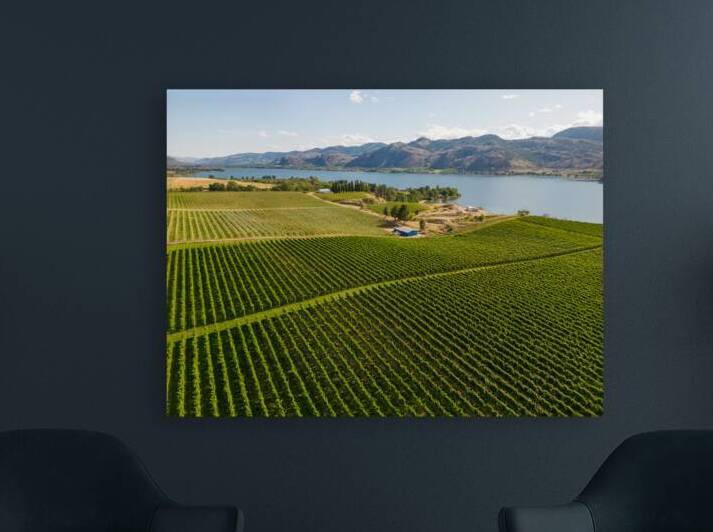 Okanagan Valley British Columbia Winery Vineyard Landscape by Kevin Miller Photography