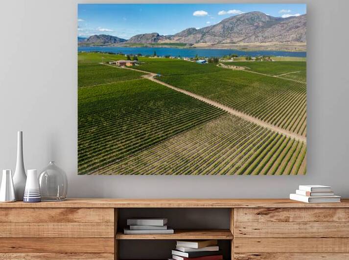 Okanagan Valley British Columbia Winery Vineyard Landscape by Kevin Miller Photography