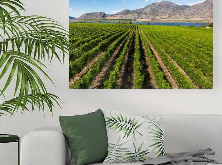 Okanagan Valley British Columbia Winery Vineyard Landscape by Kevin Miller Photography