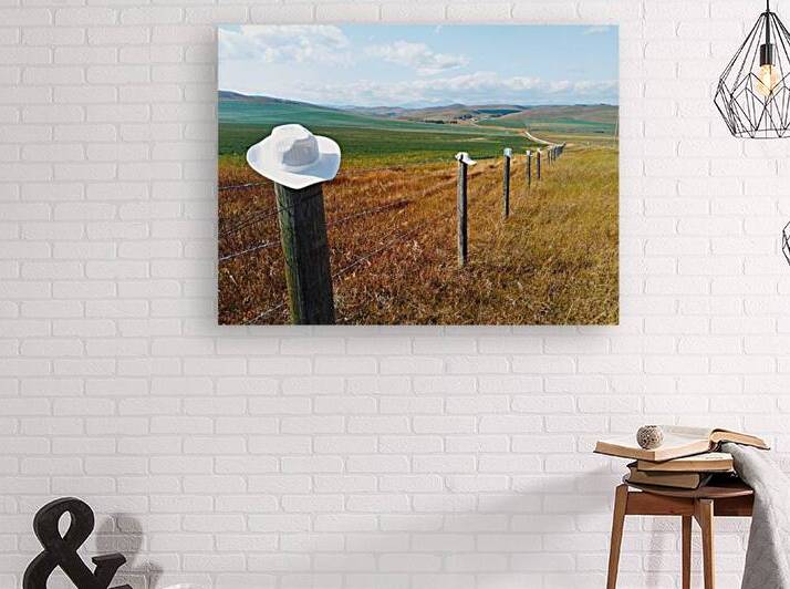Landscape scenery in Canadian prairie Alberta Canada. by Kevin Miller Photography