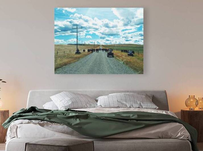 Canadian cowboy herder herding cattle Alberta by Kevin Miller Photography