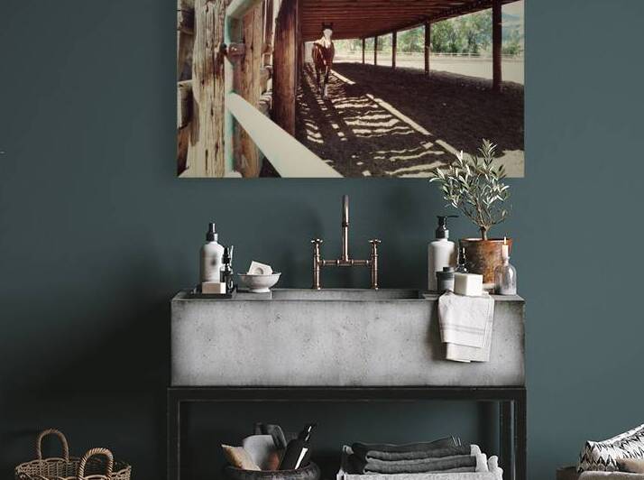 Horse stable. Canadian countryside with farm animal concept. by Kevin Miller Photography