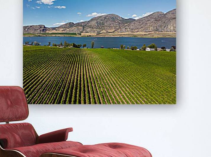 Okanagan Valley British Columbia Winery Vineyard Landscape by Kevin Miller Photography
