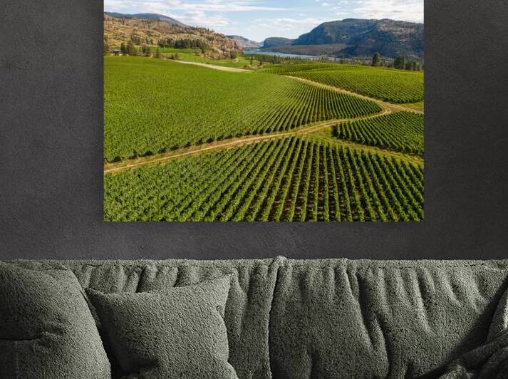 Okanagan Falls Valley British Columbia Winery Vineyard Landscape by Kevin Miller Photography