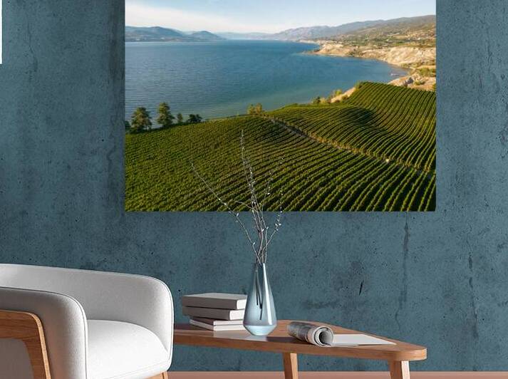 Okanagan Valley Winery Vineyard British Columbia by Kevin Miller Photography