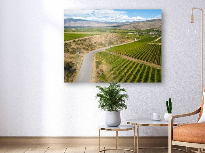 Okanagan Valley Winery Vineyard British Columbia by Kevin Miller Photography