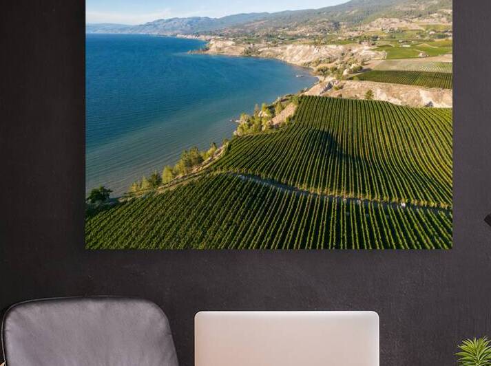 Okanagan Valley Winery Vineyard British Columbia by Kevin Miller Photography