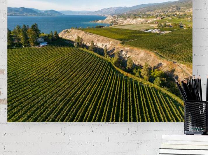 Okanagan Valley Winery Vineyard British Columbia by Kevin Miller Photography