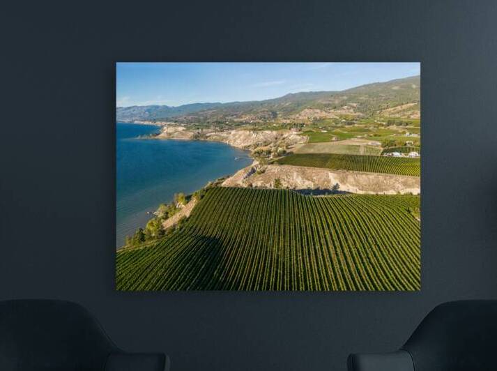 Okanagan Valley Winery Vineyard British Columbia by Kevin Miller Photography