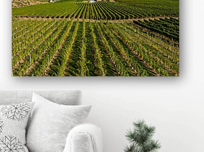 Okanagan Valley Winery Vineyard British Columbia by Kevin Miller Photography