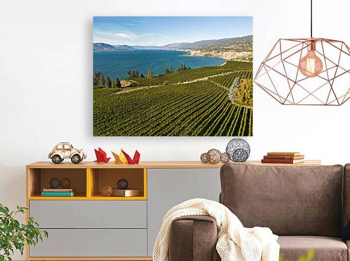 Okanagan Valley Winery Vineyard British Columbia by Kevin Miller Photography