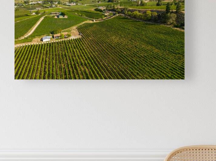 Okanagan Valley Winery Vineyard British Columbia by Kevin Miller Photography