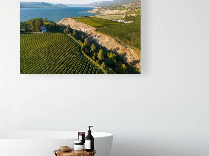 Okanagan Valley Winery Vineyard British Columbia by Kevin Miller Photography