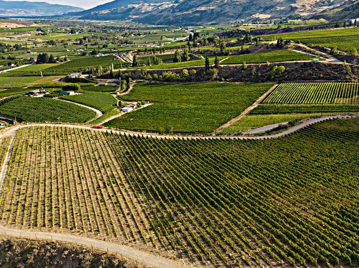 Okanagan Valley Winery Vineyard British Columbia by Kevin Miller Photography