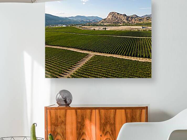 Okanagan Valley Winery Vineyard British Columbia by Kevin Miller Photography