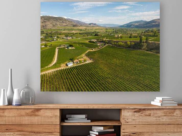 Okanagan Valley Winery Vineyard British Columbia by Kevin Miller Photography