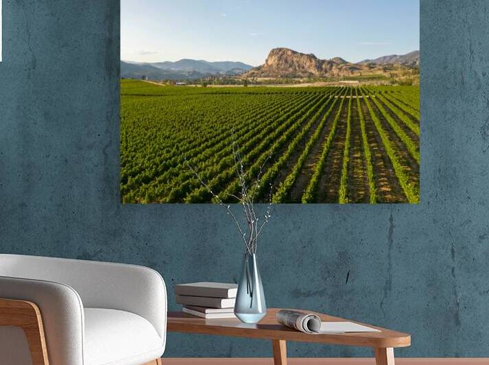 Okanagan Valley Winery Vineyard British Columbia by Kevin Miller Photography