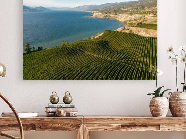 Okanagan Valley Winery Vineyard British Columbia by Kevin Miller Photography