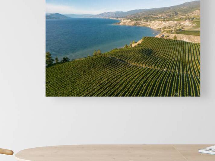 Okanagan Valley Winery Vineyard British Columbia by Kevin Miller Photography