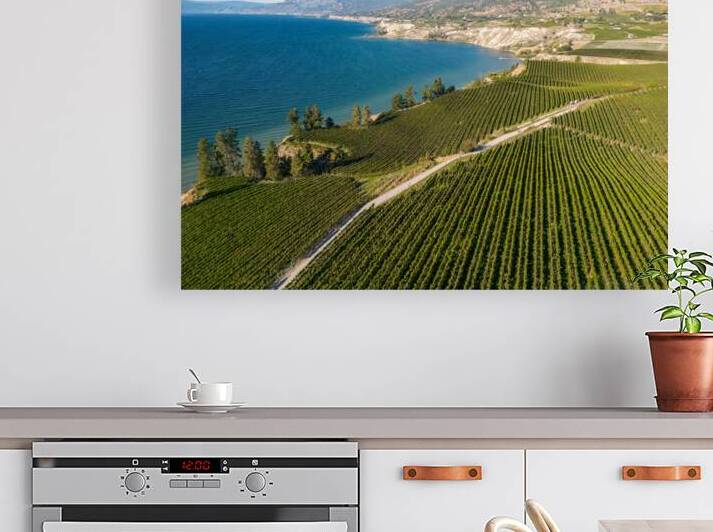 Okanagan Valley Winery Vineyard British Columbia by Kevin Miller Photography