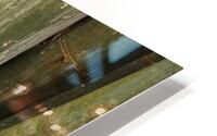 Giant Bamboo  HD Metal print