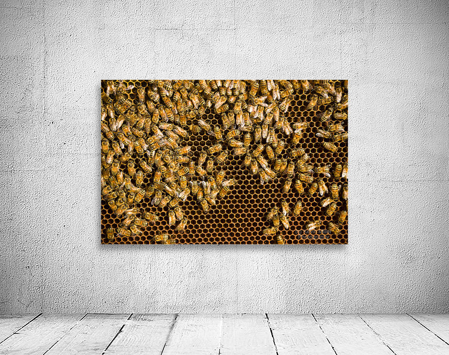 beekeeper  6 Wall Preview