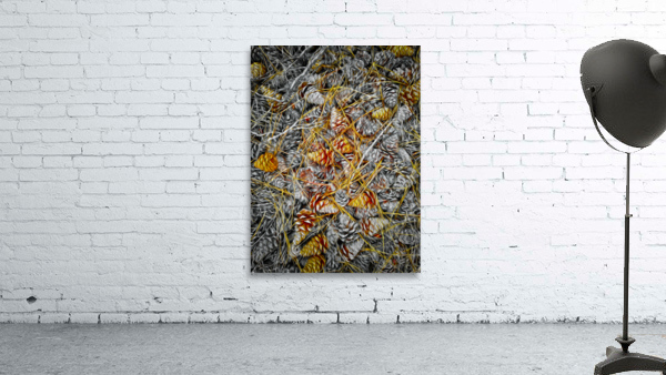 Pine Cones Forest Abstract Wall Preview