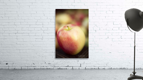 Ambrosia Apple 2 Wall Preview