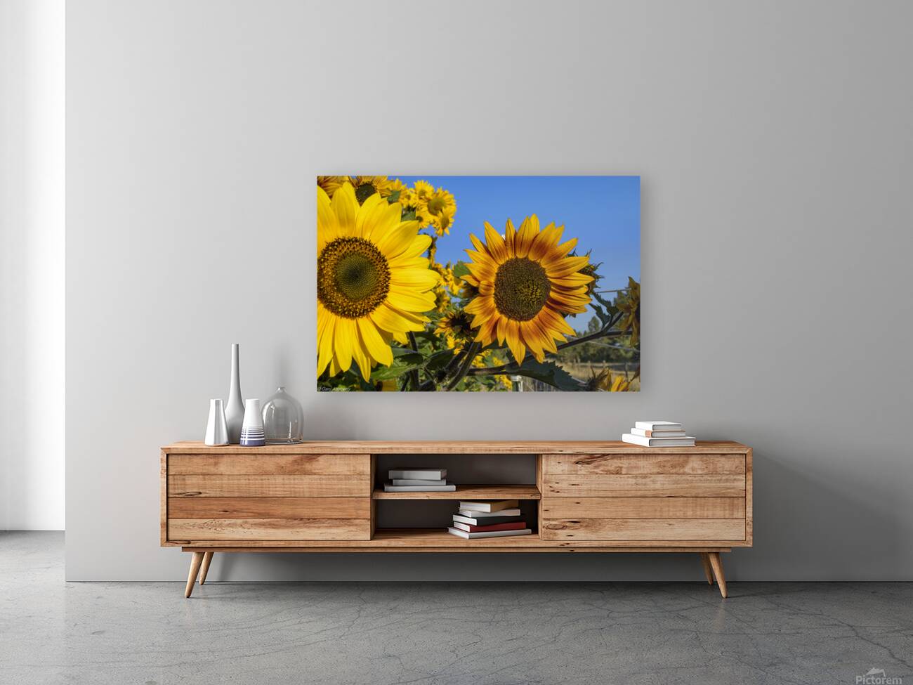 Sunflowers Reproduction
