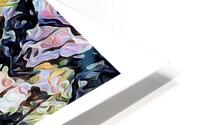Clarity  HD Metal print