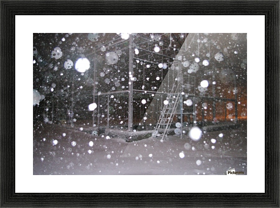 IMGP2218 Picture Frame print