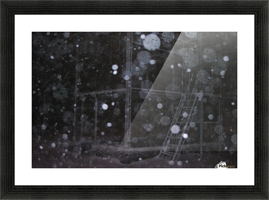 IMGP2217 Picture Frame print