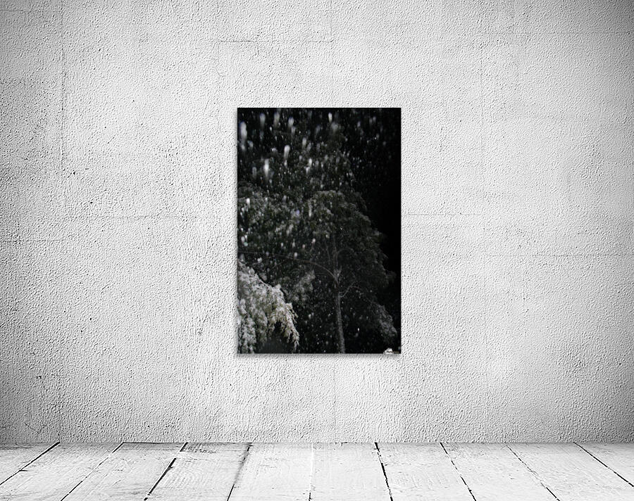 IMGP2280 Wall Preview
