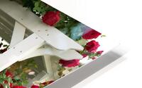  A White Pergola and Red Roses.  HD Metal print