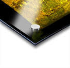 kakazo I Acrylic print