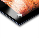 dharawal I Acrylic print