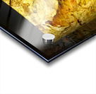 friluftsliv IV Acrylic print