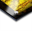 friluftsliv I Acrylic print