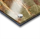 flatBark5 Acrylic print